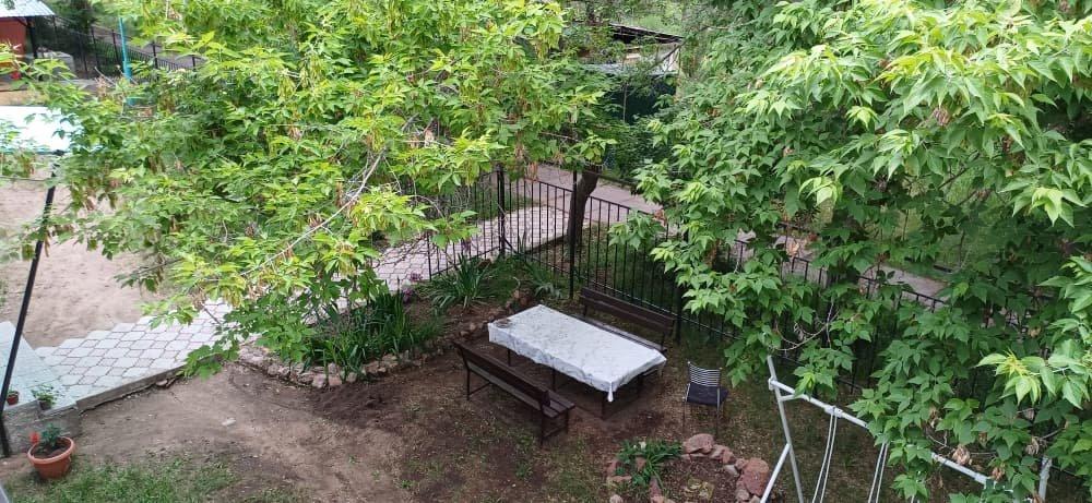 Манго Манго (Золотые пески)